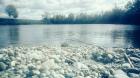 Jezero, A Nekome Kao More, Petra Ga#U0161pari#U0107, 8. B
