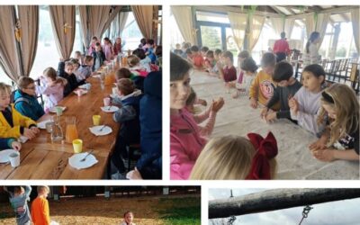 Terenska nastava u OPG-u Mlađan