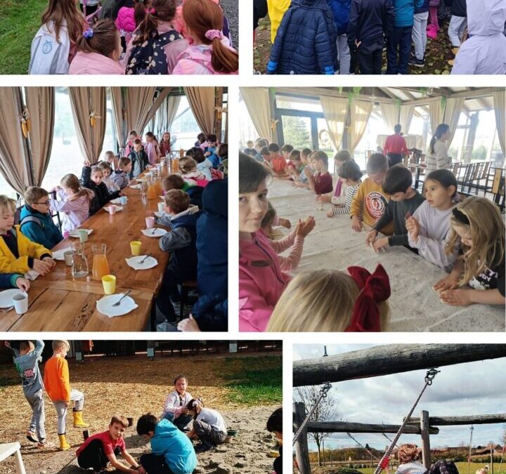 Terenska nastava u OPG-u Mlađan