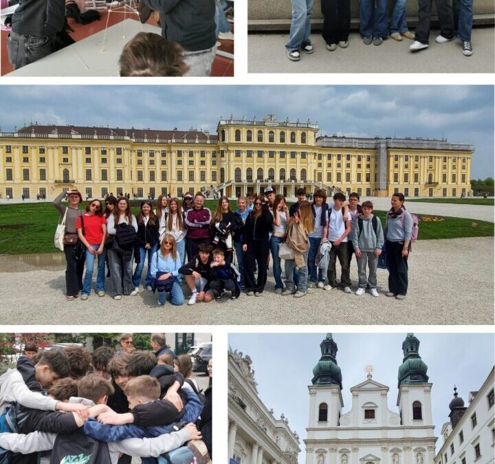 PROJEKT MEĐUNARODNE RAZMJENE UČENIKA S AUSTRIJOM